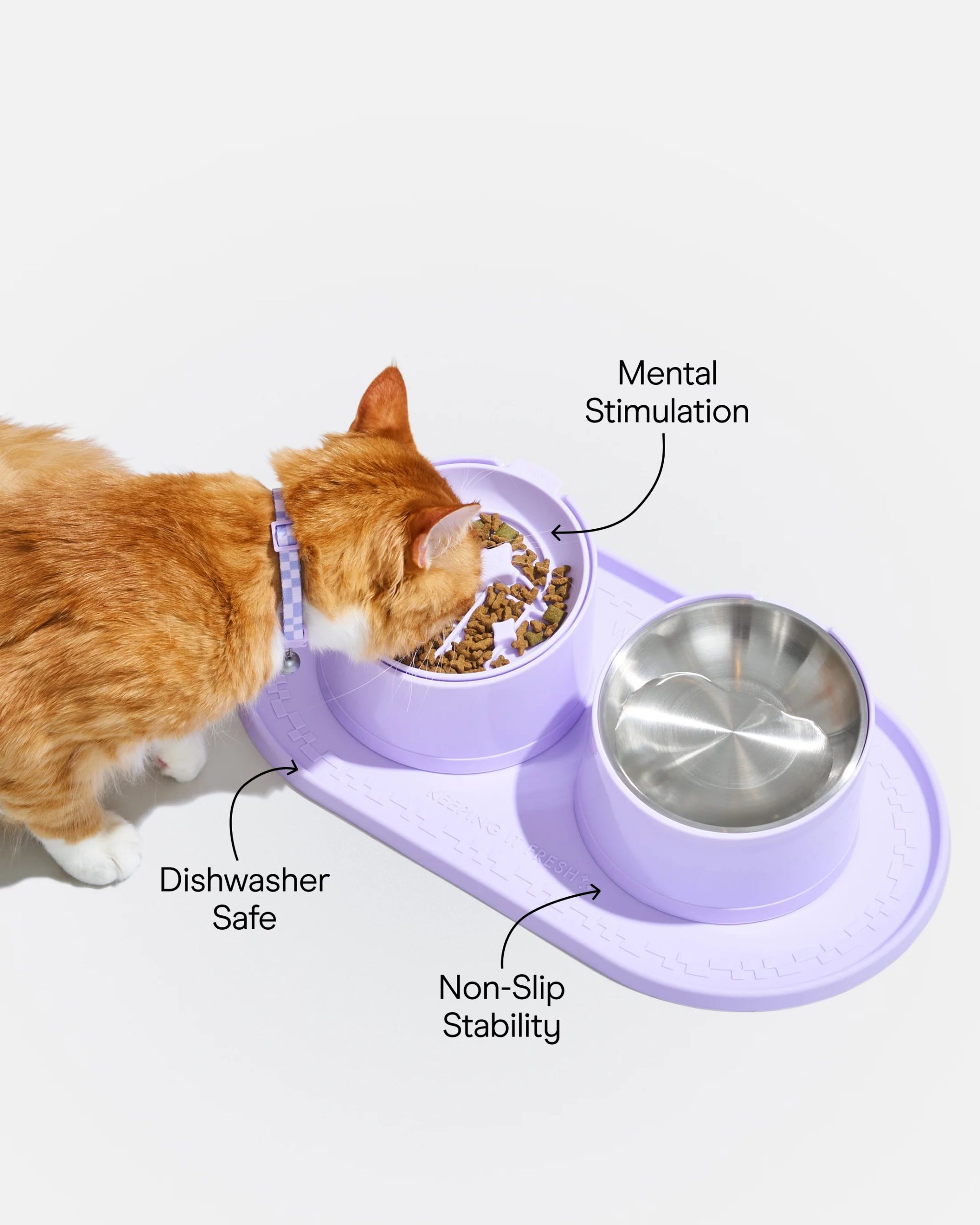 WO_Infographic_CatMealKit.jpg