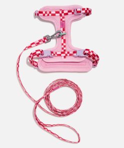 Cat Harness & Leash