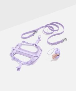 Step-In Harness + Waterproof Leash Walk Kit