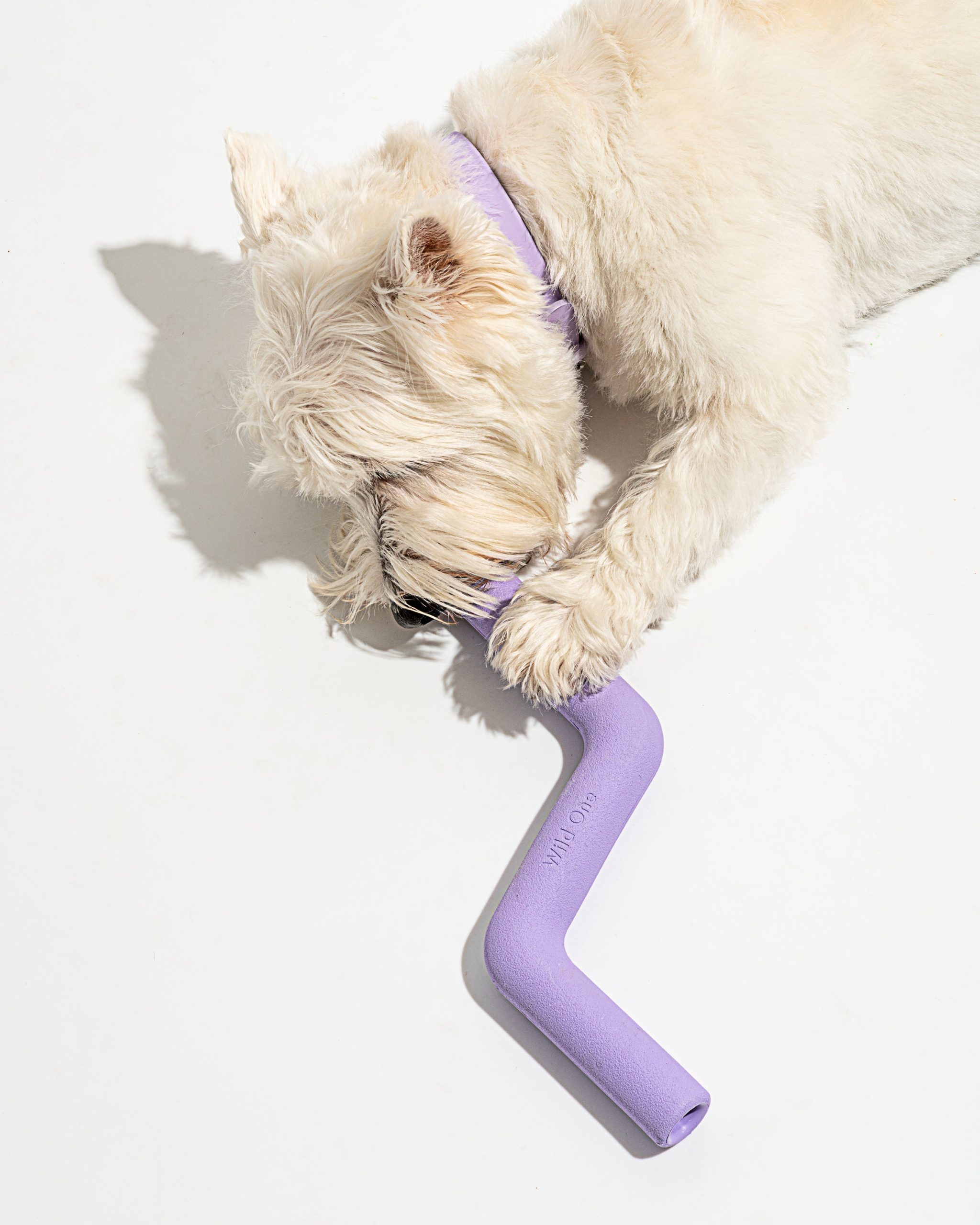 WO_VM_Studio_PDP_ToysBoltBite_Lilac_Dog_01_Web_bb16188f-0b9d-472b-bb36-ef741d201b86.jpg