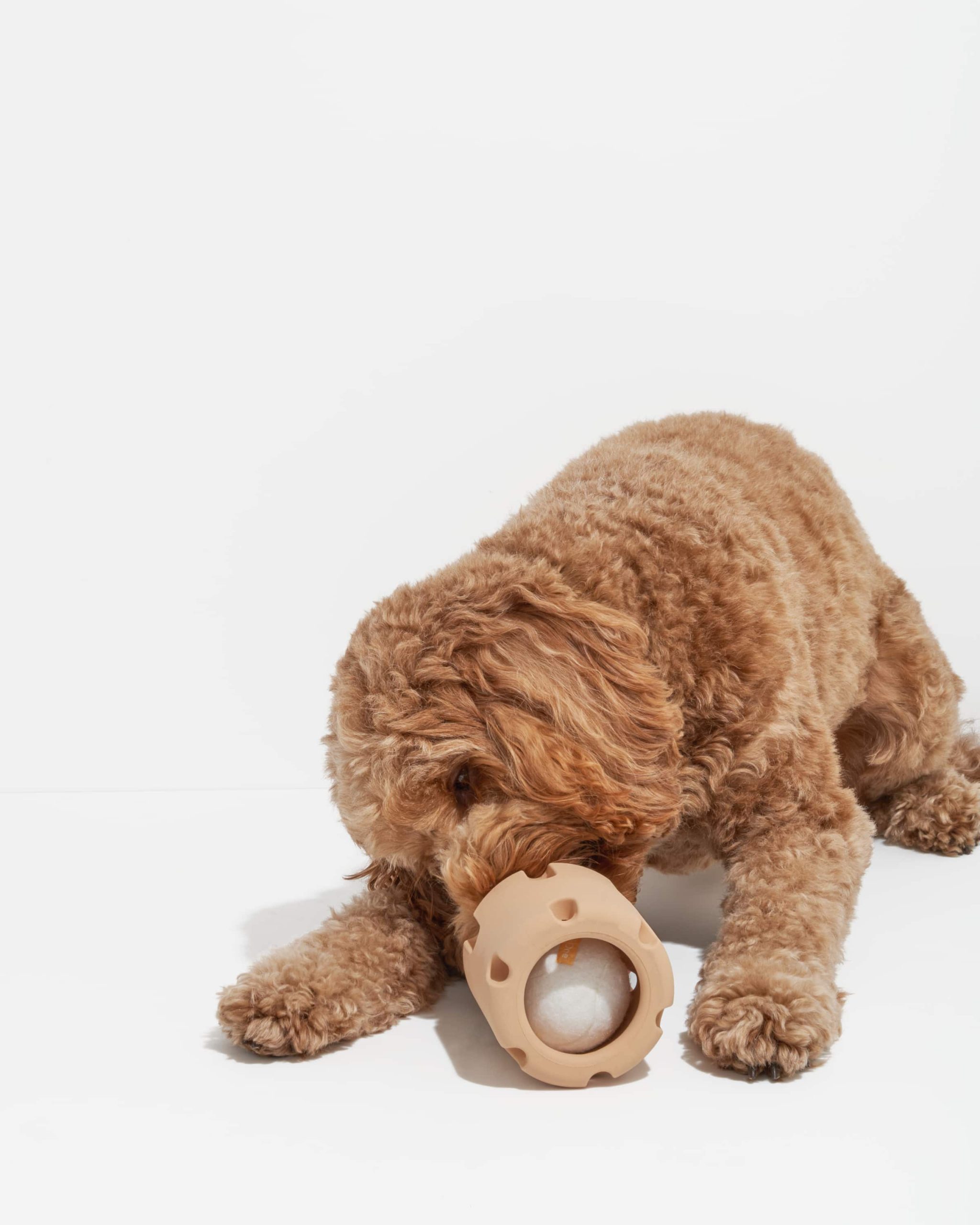 WO_VM_Studio_PDP_Toys_TennisTumble_Tan_Dog_04_4x5_Web.jpg