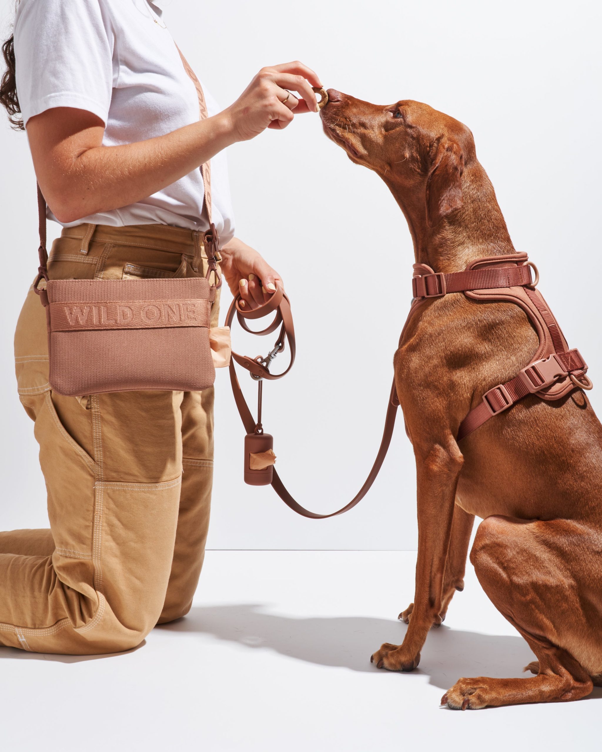 WO_VM_Studio_TreatPouch_Cocoa_Dog_01_4x5_Web_1.jpg