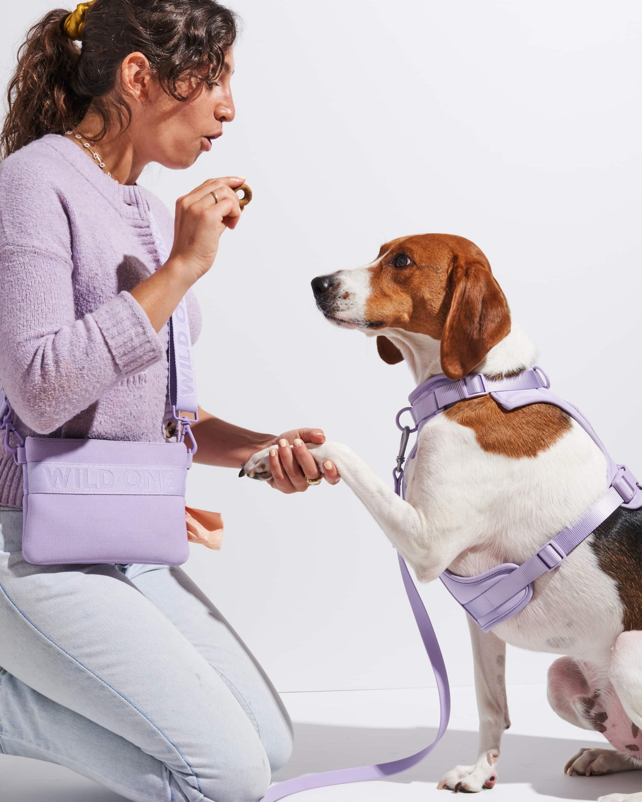 WO_VM_Studio_TreatPouch_Lilac_Dog_01_4x5_Web.jpg