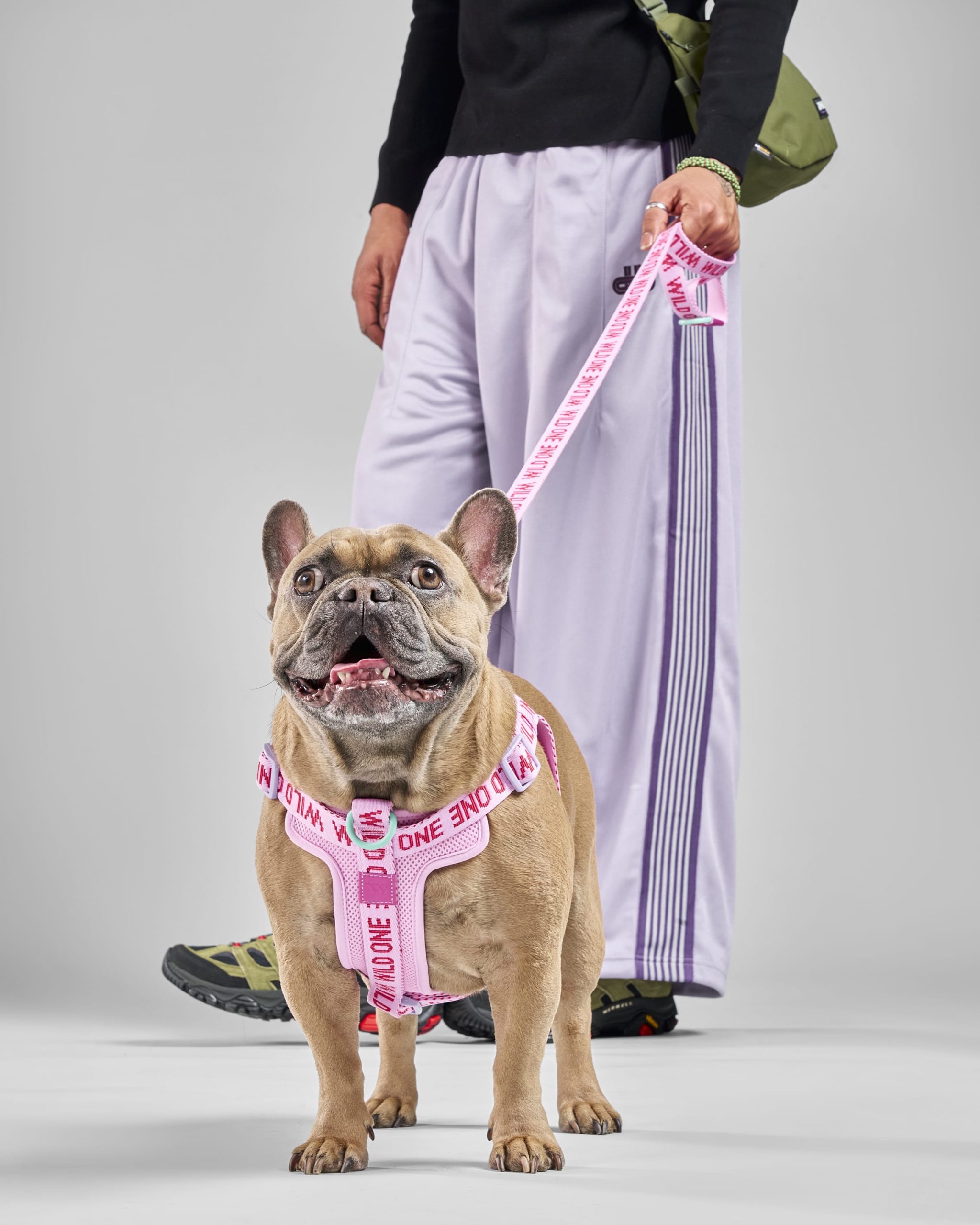 WO_VM_WalkKitStepInHarness_Bubblegum_AirCollection_Campaign_01_4x5_Web.jpg