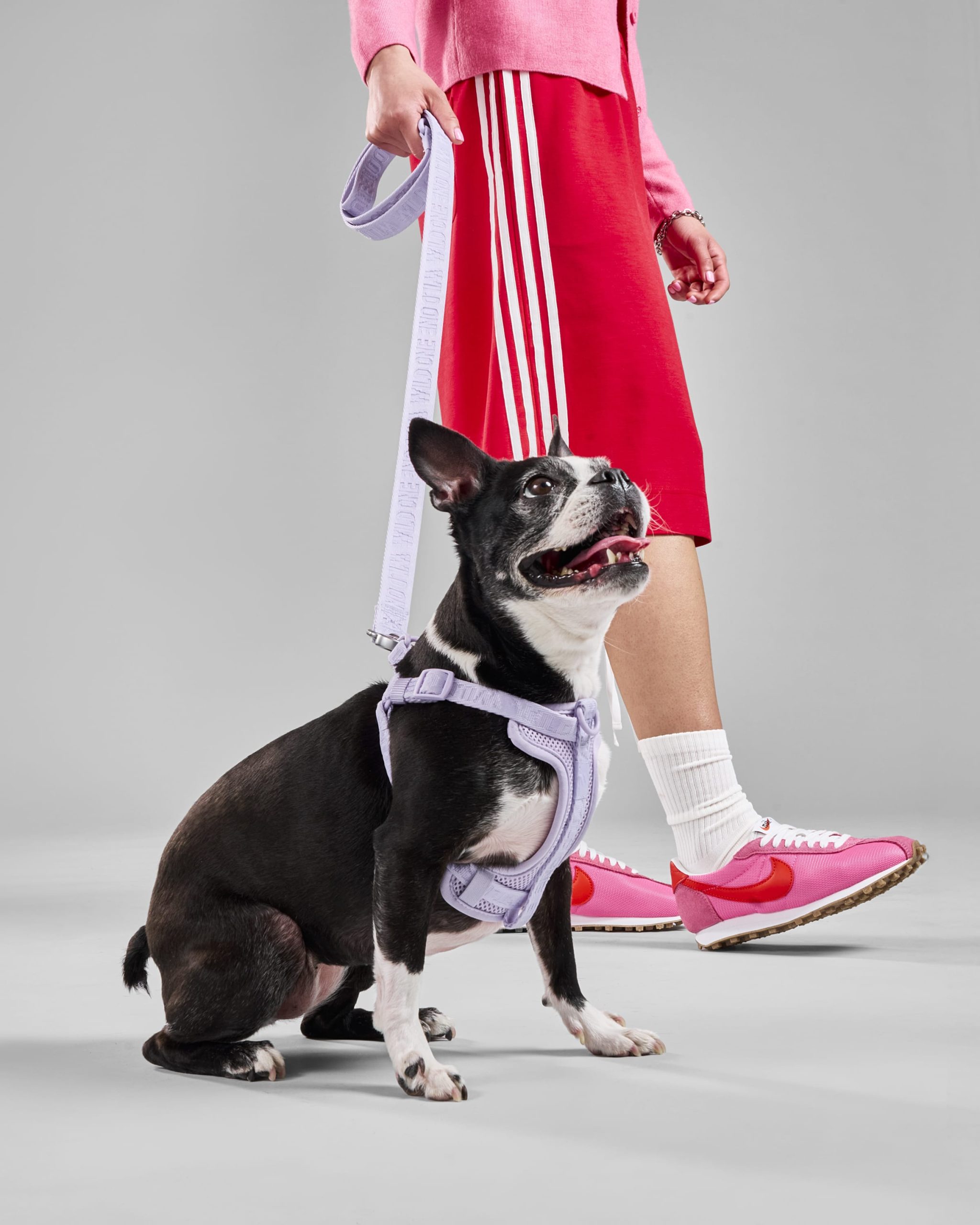 WO_VM_WalkKitStepInHarness_Lilac_AirCollection_Campaign_01_4x5_Web_1.jpg
