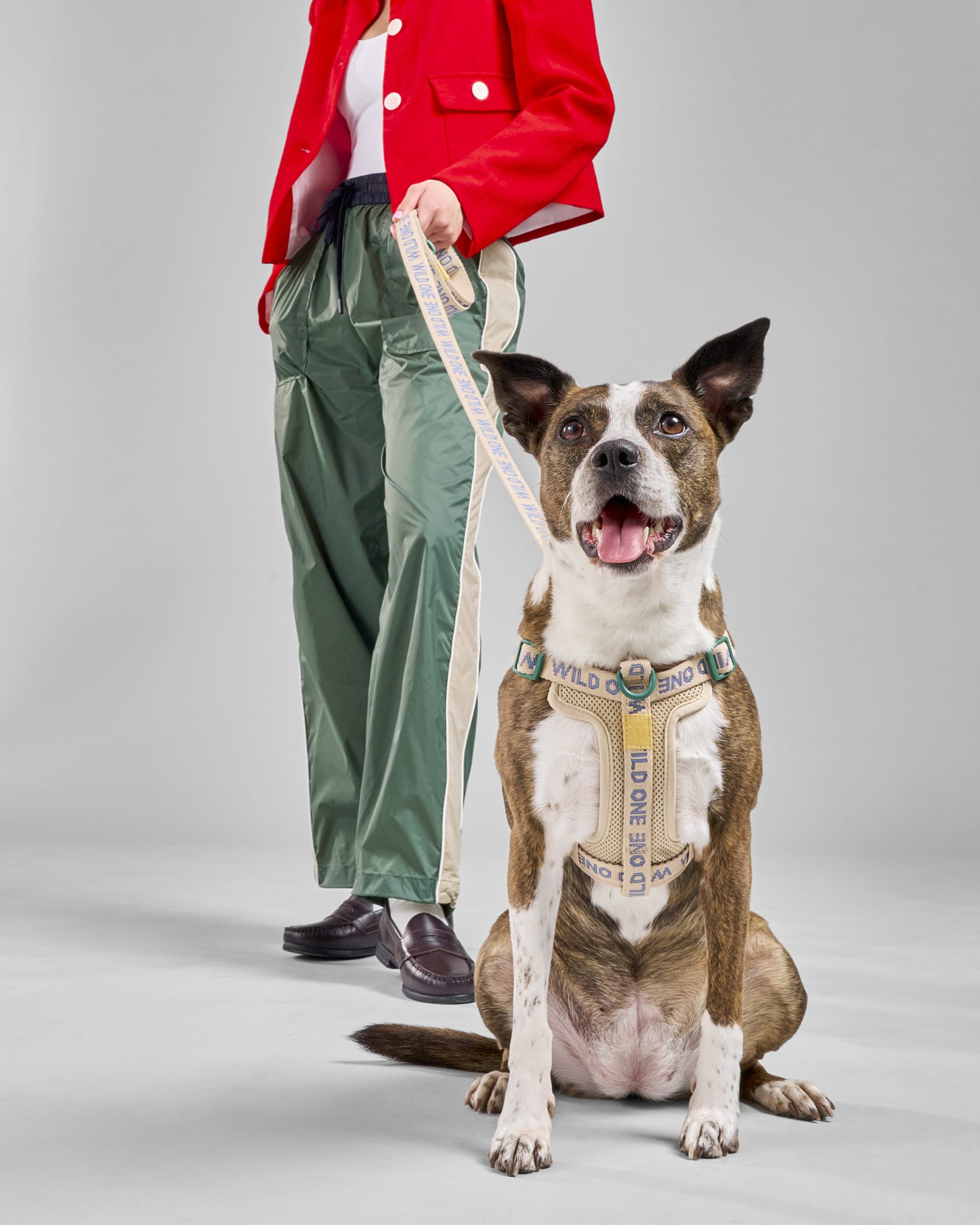 WO_VM_WalkKitStepInHarness_Retro_AirCollection_Campaign_01_4x5_Web.jpg