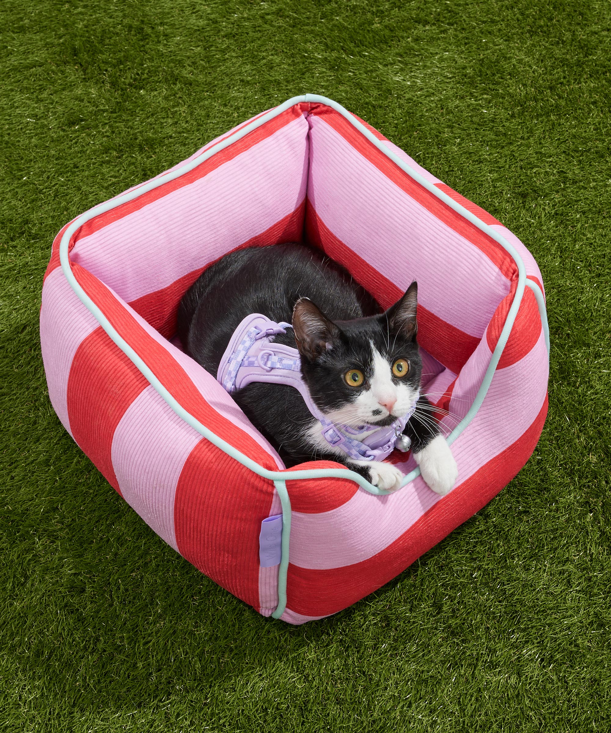 wo_pdp_cat-bolster-bed_campaign_02.jpg